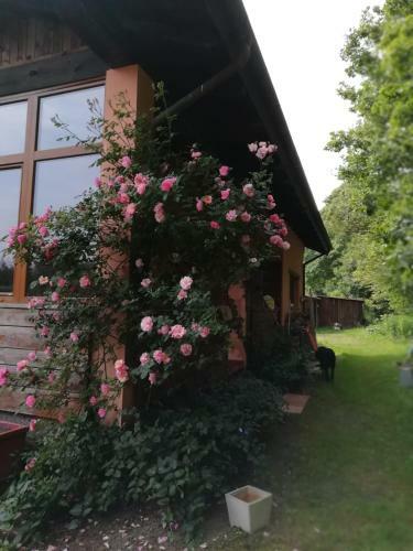 Bed & Breakfast Il Pettirosso Di Giusvalla