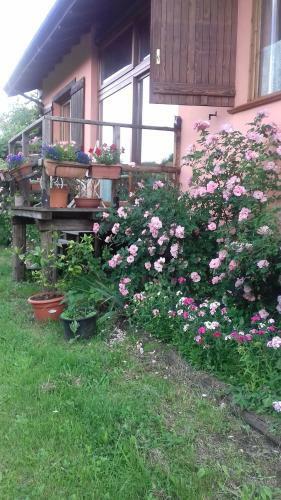 Bed & Breakfast Il Pettirosso Di Giusvalla