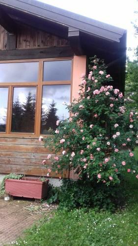 Bed & Breakfast Il Pettirosso Di Giusvalla