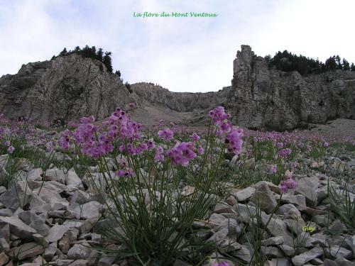 Bed & Breakfast Le Nid Au Pied Du Mont Ventoux