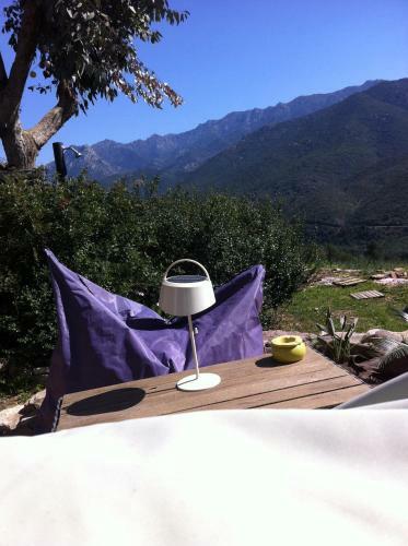 Bed & Breakfast Mare E Legnu