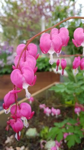 Confort Excellence Aux Couleurs Exotiques