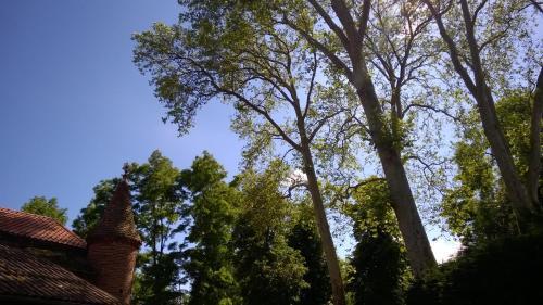Bed & Breakfast Ch�teau De La Vern�de