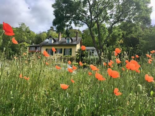 Bed & Breakfast En Bord De Seine