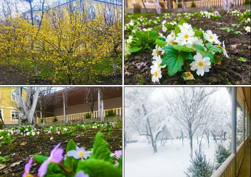 Gabala Palace Villa - 8 Bedrooms