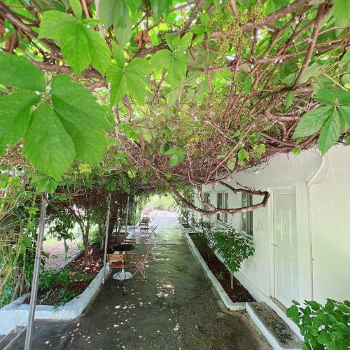 Hotel Garden Villa Naza