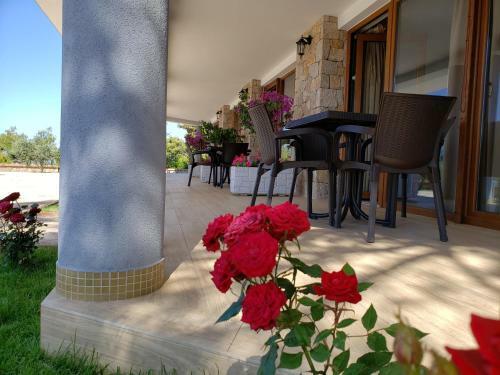 Apartamento Vila Elezi