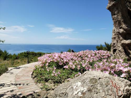 Apartamento Vila Elezi