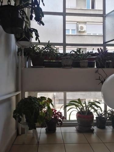 Apartment Vision