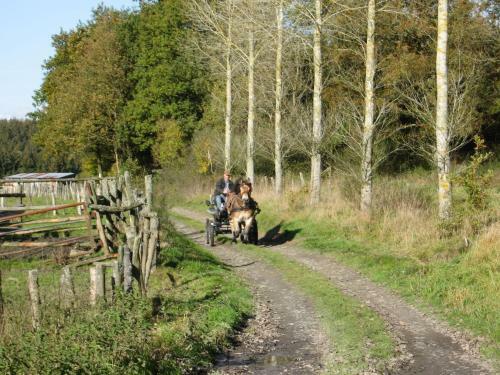 Chalet Al Fontain Des Flons Houffalize