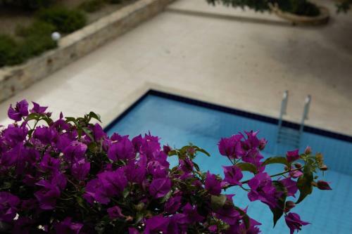 Apartamento Douliana Villas
