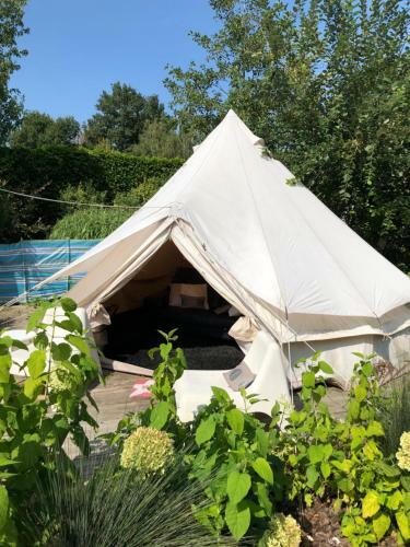B&B De Witte Merel Deluxe
