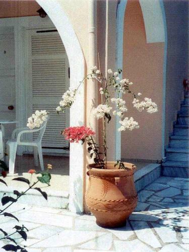 Atisis Apartments