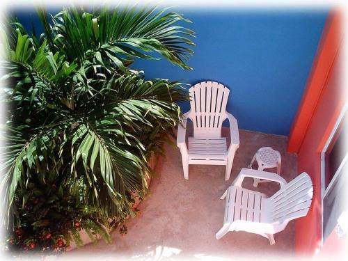 Hostal Coral Reef Inn