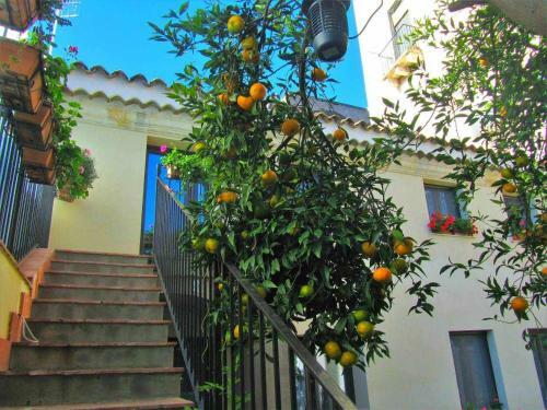 Bed & Breakfast Beb Comeinsicily Cortedeilimoni Charming E Relaxing Luxury
