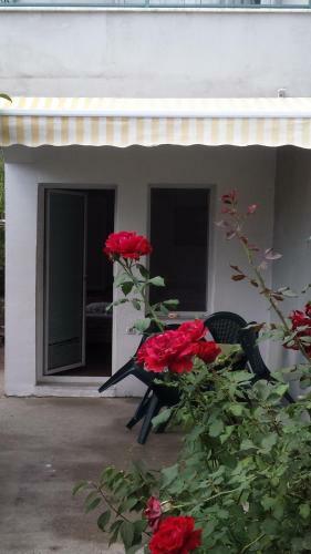 Apartmani Sunce
