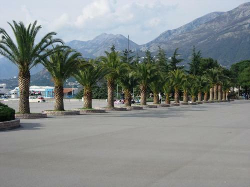 Hostal Rooms & Apartments Anka