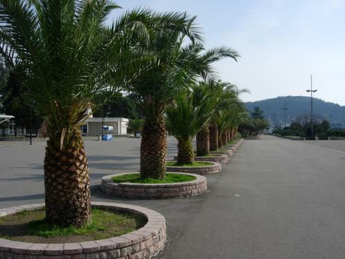 Hostal Rooms & Apartments Anka