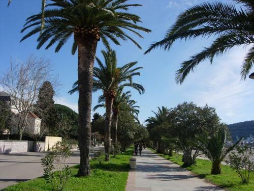 Hostal Rooms & Apartments Anka