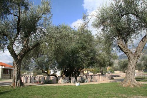 Hostal Rooms & Apartments Anka