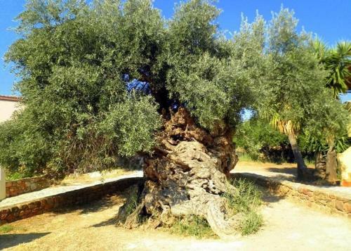 Sea View And Silence Traditional Stone House