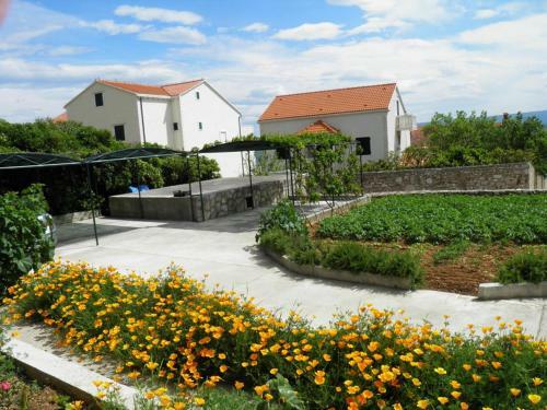 Apartments Mar?i? Bol