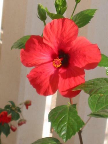 Apartamento Villa Fontana