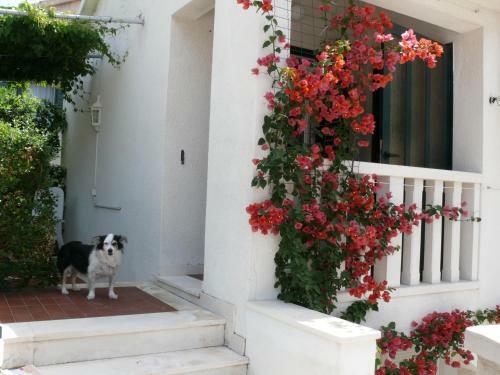 Apartamento Villa Fontana