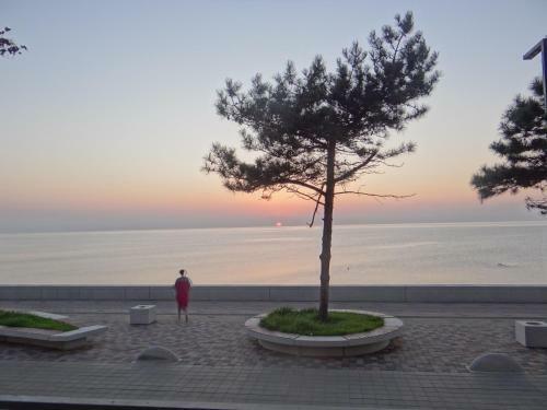 Apartamento Kobuleti-tamar Mephis Sanapiro Lux