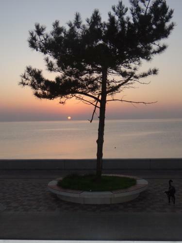Apartamento Kobuleti-tamar Mephis Sanapiro Lux