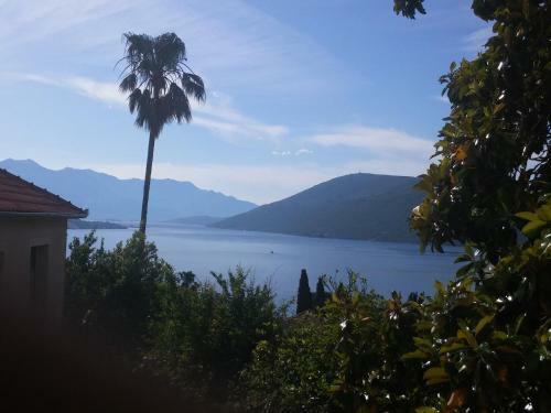 Stari Grad Apartment