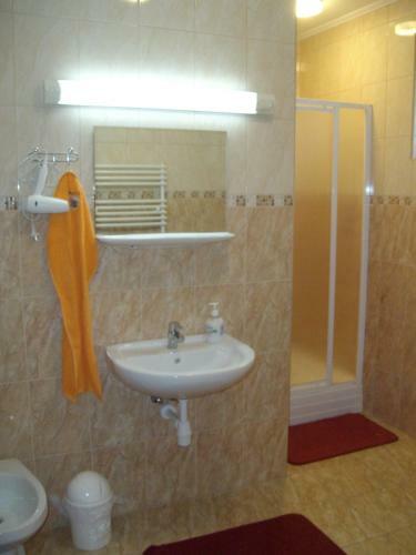Hostal Somodi Vend�gh�z