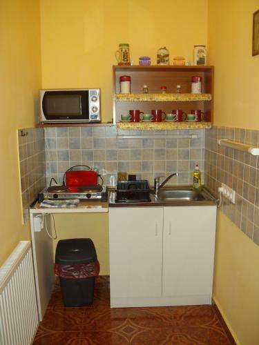 Hostal Somodi Vend�gh�z