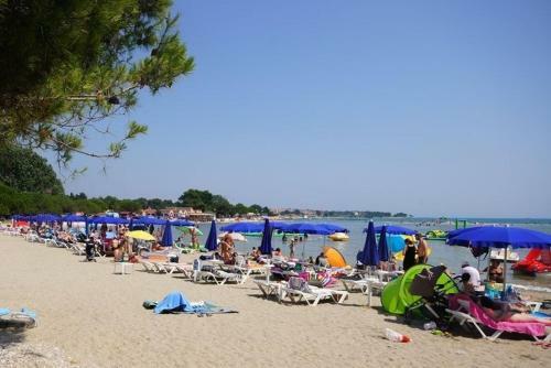 Apartment Orlini Medulin