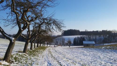 Hostal Gasthof Weinbauer