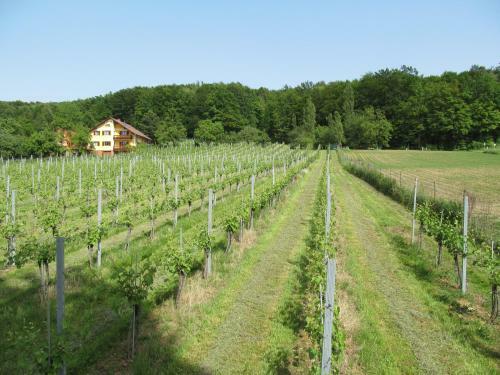 Apartamento Appartement Weingut Schoberhof