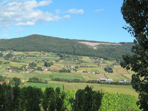 Apartamento Appartement Weingut Schoberhof