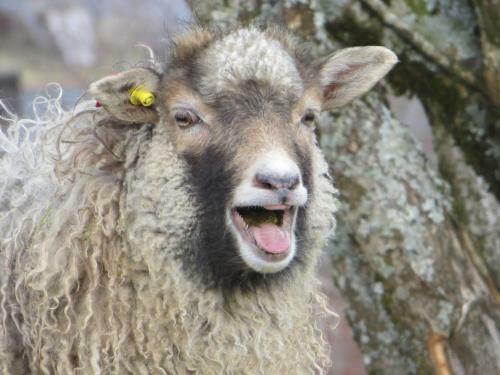 Tiny House With A View!