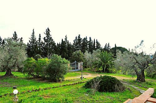 Villa Olga