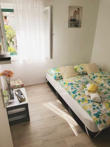 Apartment Migy