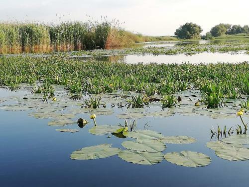 Hostal Casa Iris Murighiol