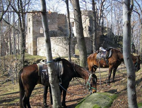 Agroturismo Sza?as Muflon - Mufflonh�tte