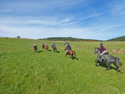 Agroturismo Sza?as Muflon - Mufflonh�tte