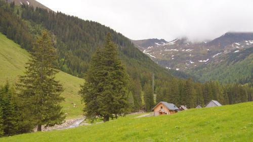 Alpine Chalet - H�ttfeldalm - Almh�tte - Panoramablick