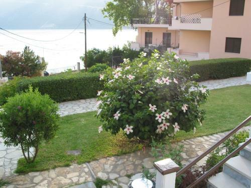 Apartamento Leonidas Studios