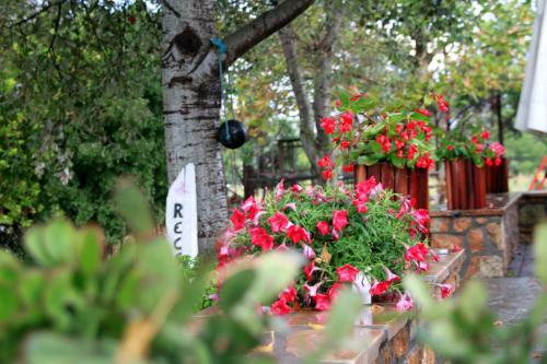 Hotel Akti Retzika