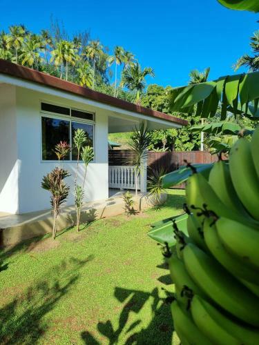 Moorea - Fare Vaianae Miti