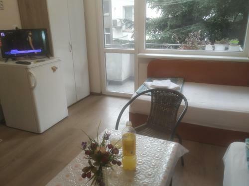 Daria Luxury Seaside Apartment