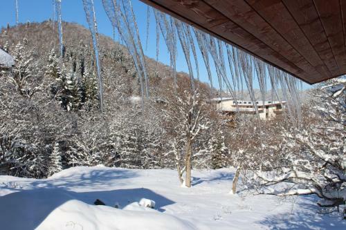 Mountain Villa Didveli