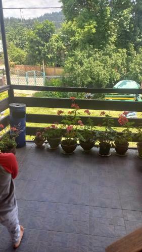 Hostal Melikidze's Guest House